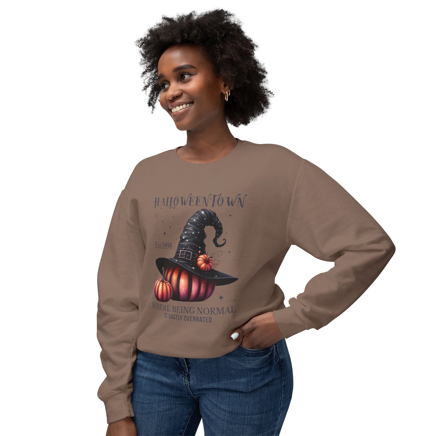 Unisex Lightweight Crewneck Sweatshirt / Casual Pullover / Soft Cotton Blend / Everyday Loungewear
