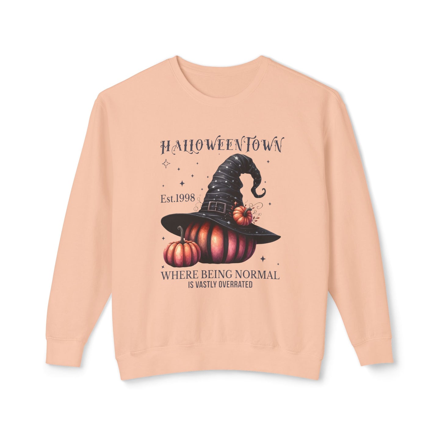 Unisex Lightweight Crewneck Sweatshirt / Casual Pullover / Soft Cotton Blend / Everyday Loungewear