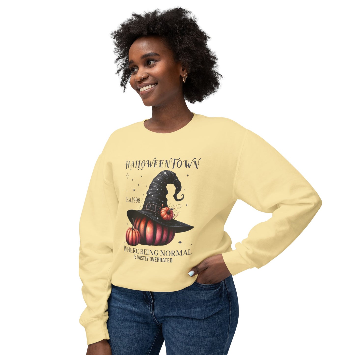 Unisex Lightweight Crewneck Sweatshirt / Casual Pullover / Soft Cotton Blend / Everyday Loungewear