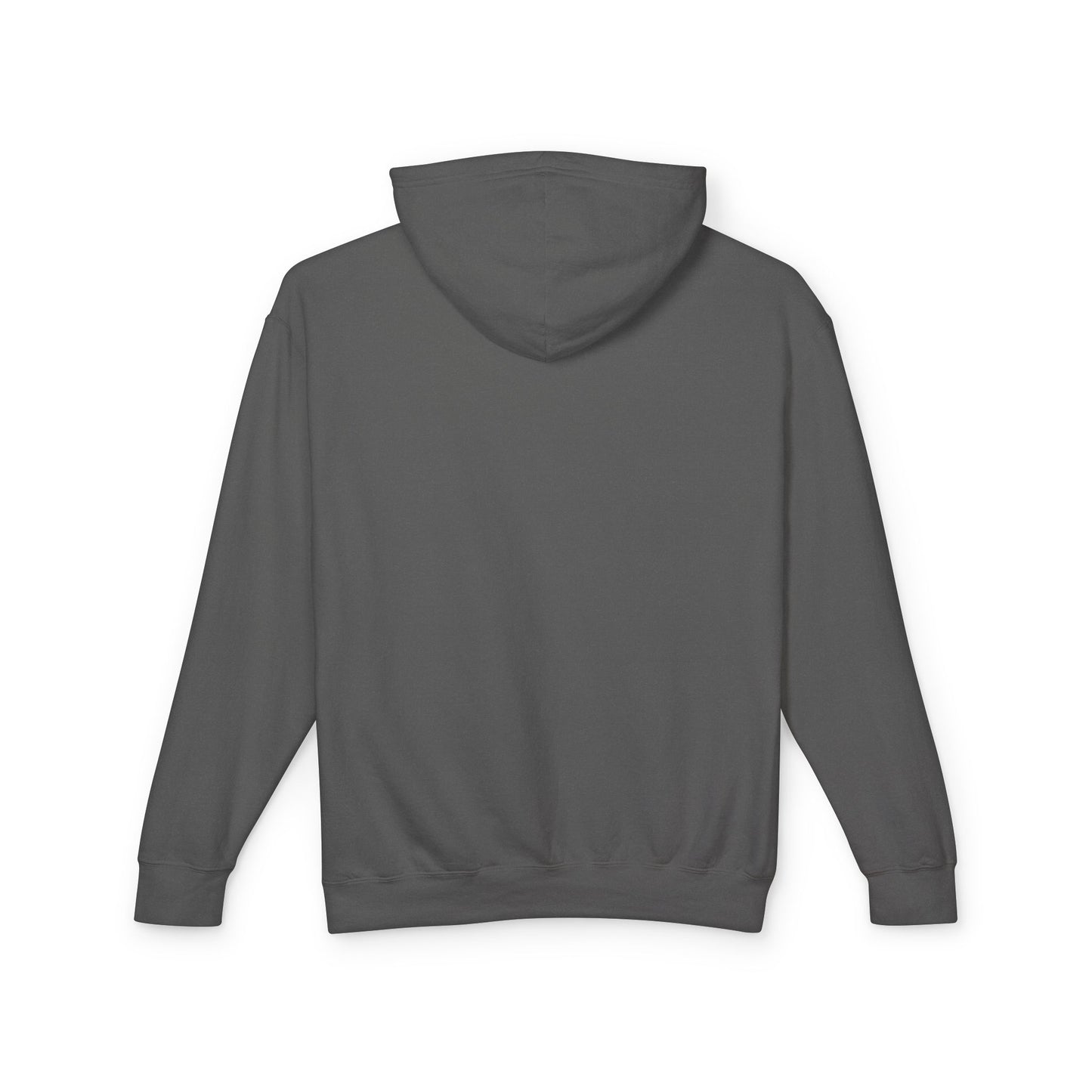 Unisex Lightweight Crewneck Sweatshirt / Soft Cotton Pullover / Casual Everyday Loungewear / Classic Unisex Fit