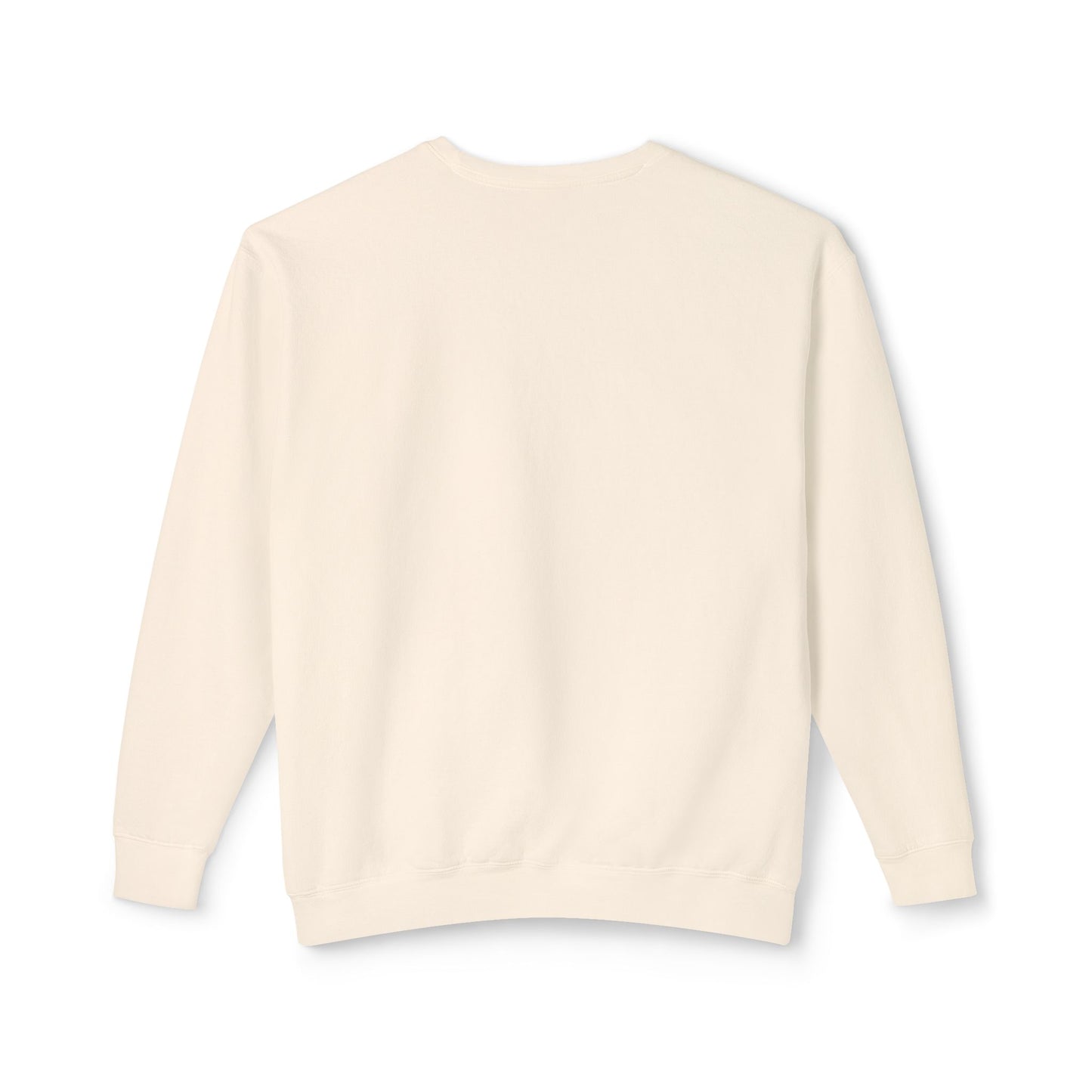 Unisex Lightweight Crewneck Sweatshirt / Casual Pullover / Soft Cotton Blend / Everyday Loungewear