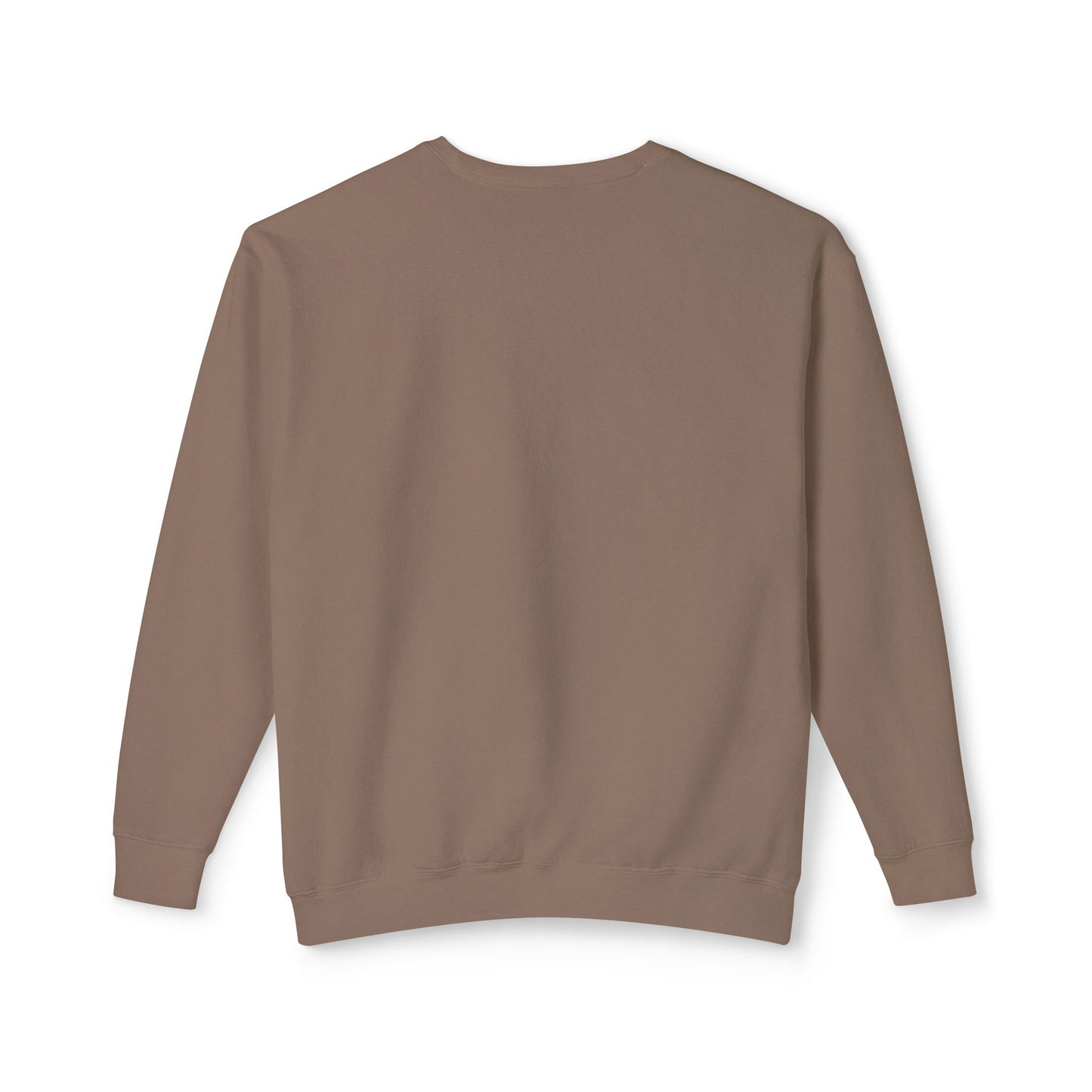 Unisex Lightweight Crewneck Sweatshirt / Casual Pullover / Soft Cotton Blend / Everyday Loungewear