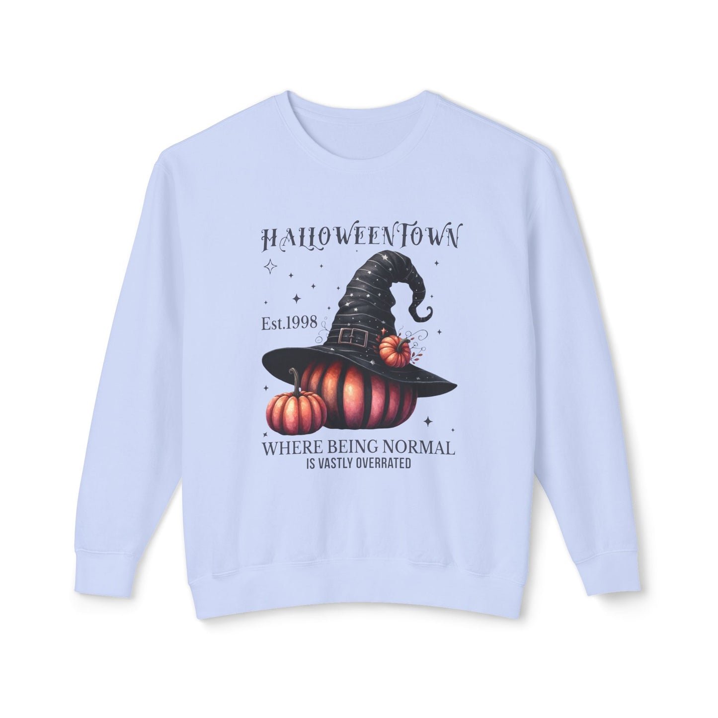 Unisex Lightweight Crewneck Sweatshirt / Casual Pullover / Soft Cotton Blend / Everyday Loungewear