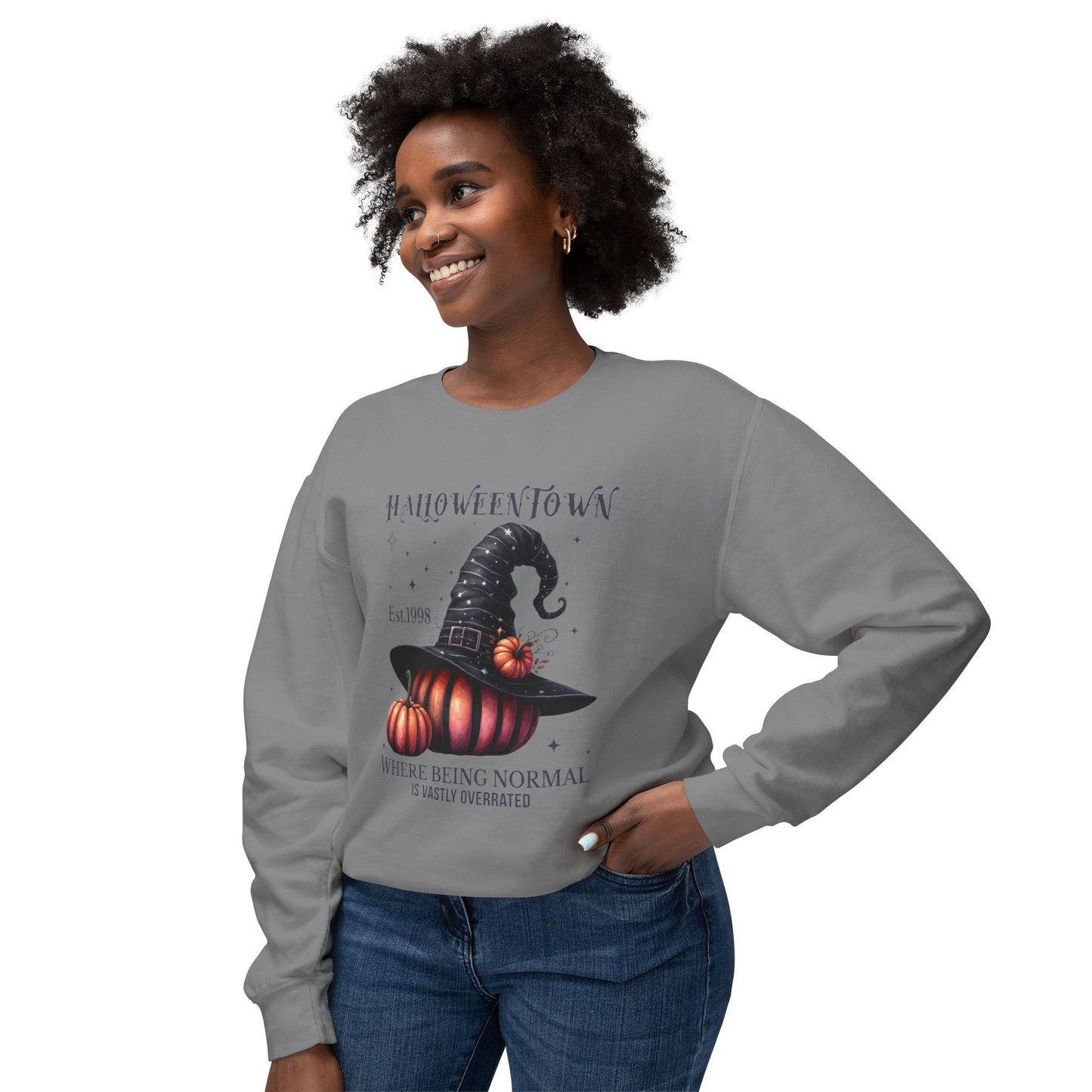 Unisex Lightweight Crewneck Sweatshirt / Casual Pullover / Soft Cotton Blend / Everyday Loungewear