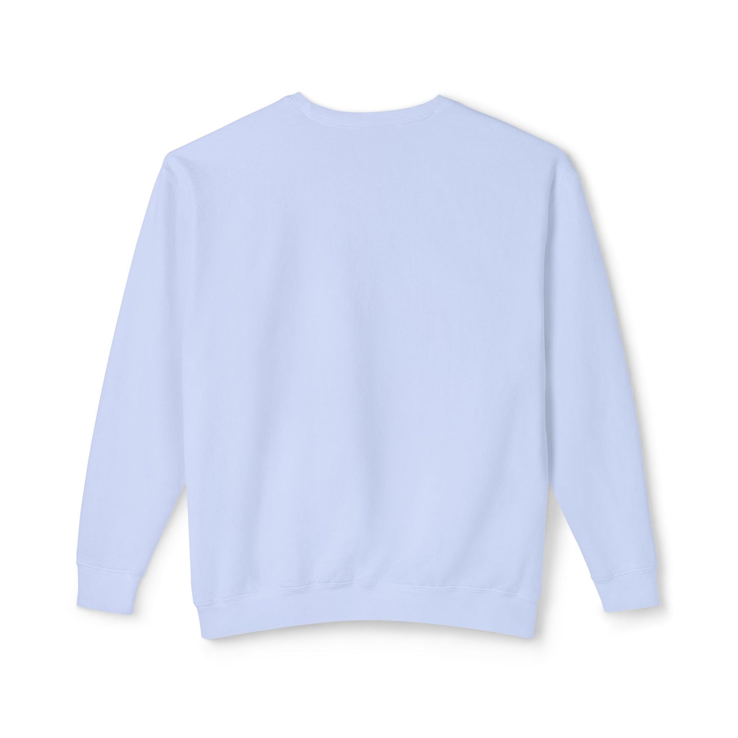Unisex Lightweight Crewneck Sweatshirt / Casual Pullover / Soft Cotton Blend / Everyday Loungewear