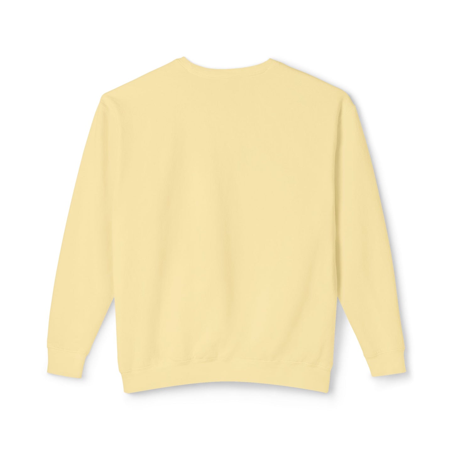 Unisex Lightweight Crewneck Sweatshirt / Casual Pullover / Soft Cotton Blend / Everyday Loungewear