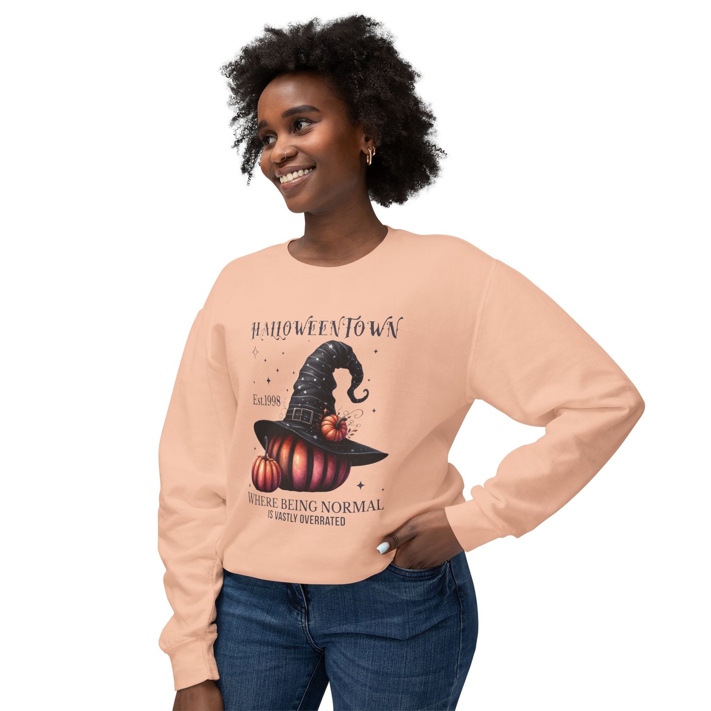 Unisex Lightweight Crewneck Sweatshirt / Casual Pullover / Soft Cotton Blend / Everyday Loungewear