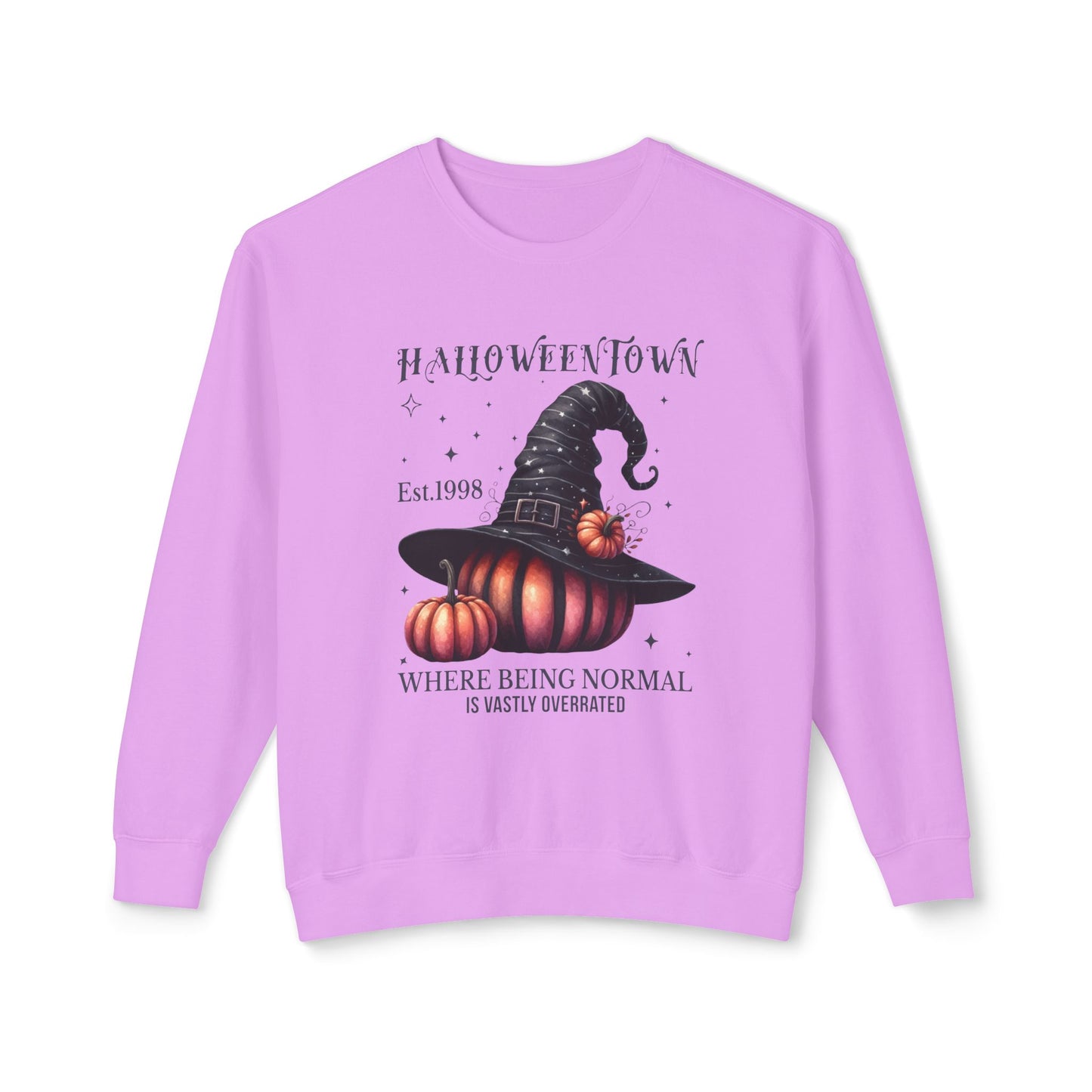 Unisex Lightweight Crewneck Sweatshirt / Casual Pullover / Soft Cotton Blend / Everyday Loungewear