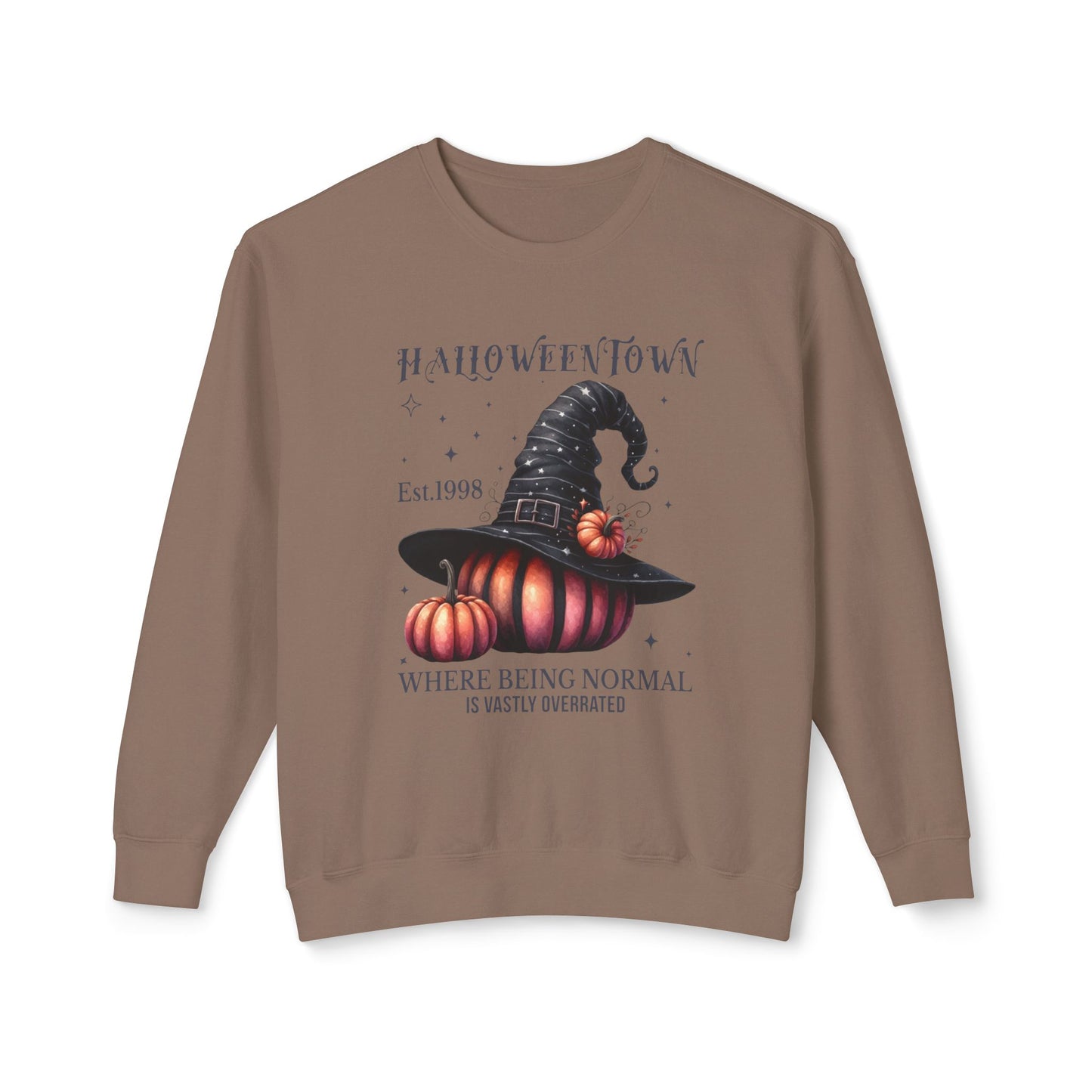 Unisex Lightweight Crewneck Sweatshirt / Casual Pullover / Soft Cotton Blend / Everyday Loungewear