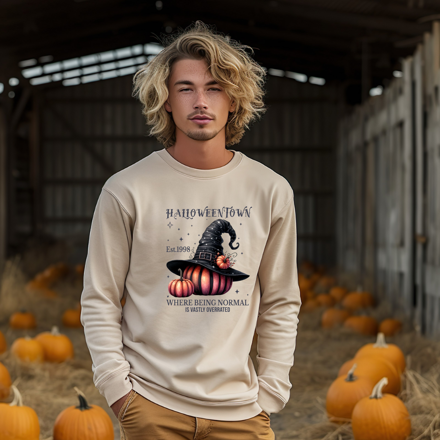 Unisex Lightweight Crewneck Sweatshirt / Casual Pullover / Soft Cotton Blend / Everyday Loungewear