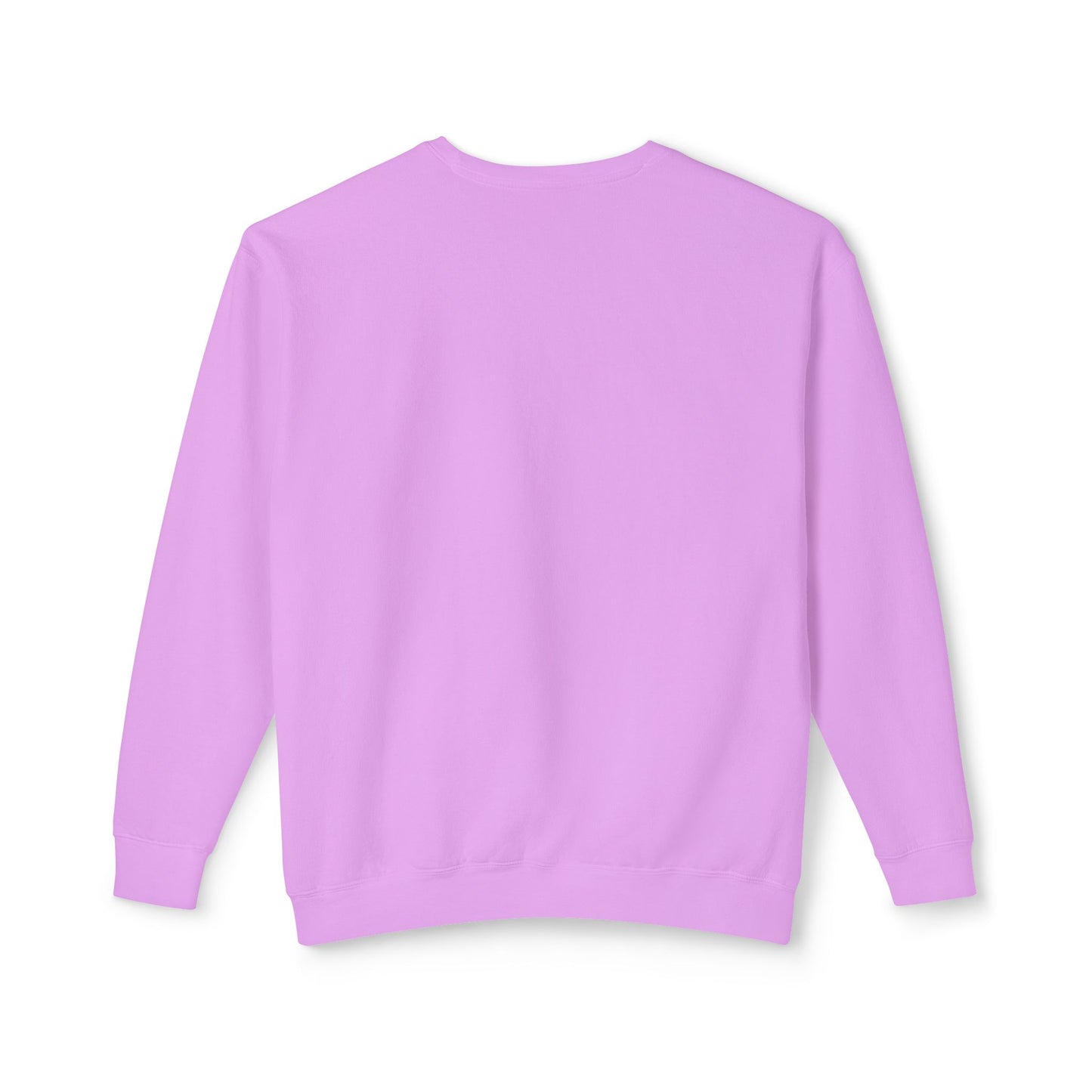 Unisex Lightweight Crewneck Sweatshirt / Casual Pullover / Soft Cotton Blend / Everyday Loungewear