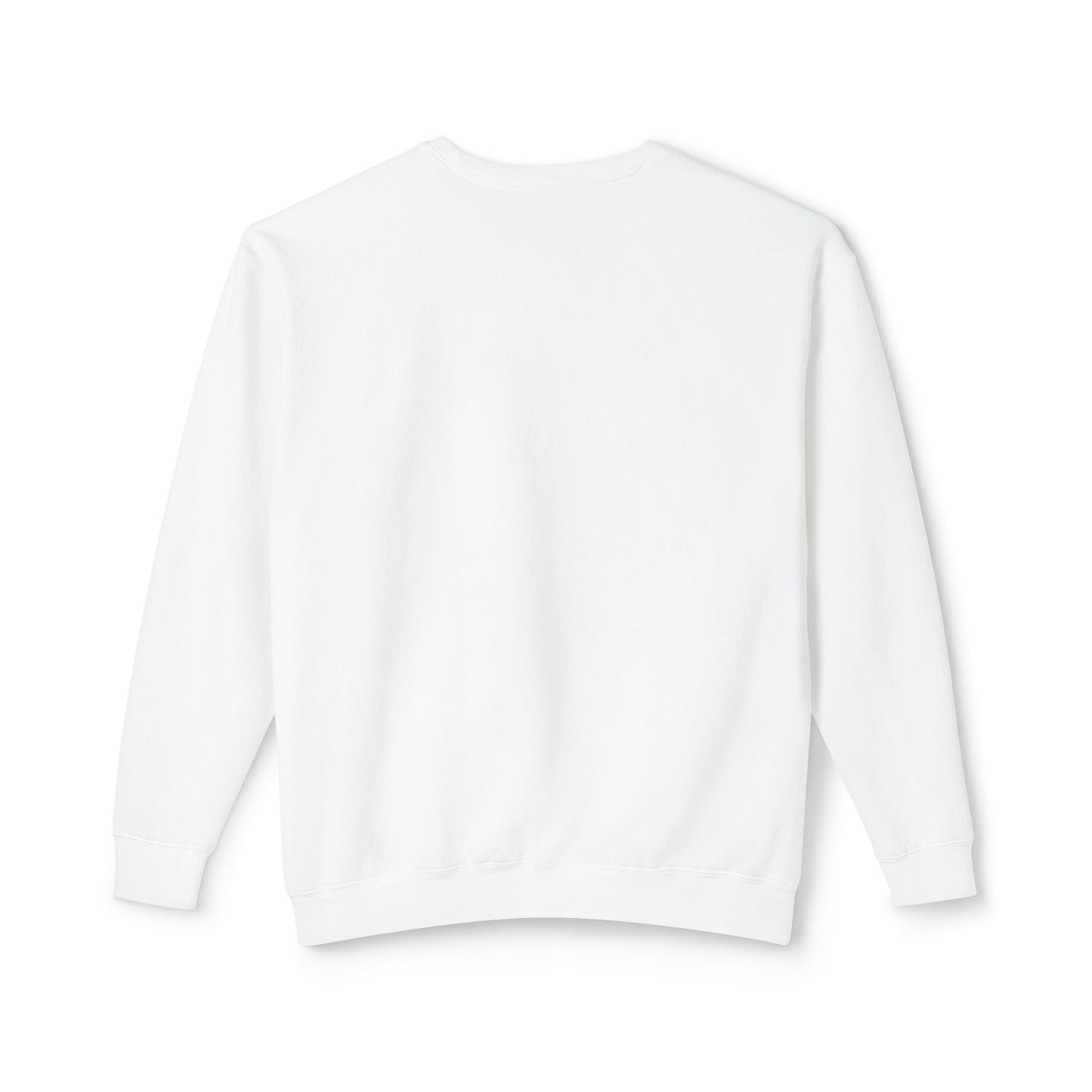 Unisex Lightweight Crewneck Sweatshirt / Casual Pullover / Soft Cotton Blend / Everyday Loungewear