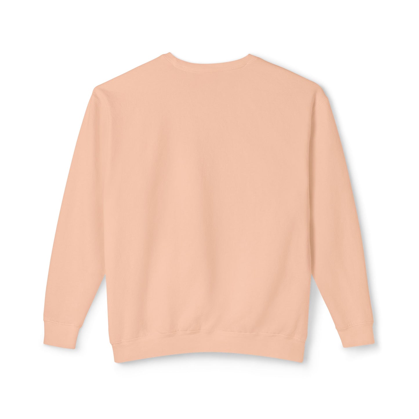 Unisex Lightweight Crewneck Sweatshirt / Casual Pullover / Soft Cotton Blend / Everyday Loungewear