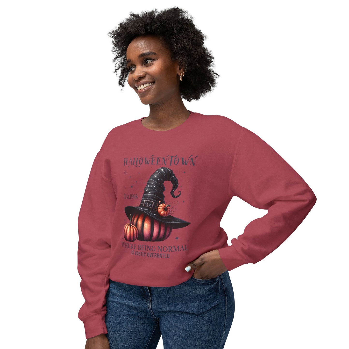 Unisex Lightweight Crewneck Sweatshirt / Casual Pullover / Soft Cotton Blend / Everyday Loungewear