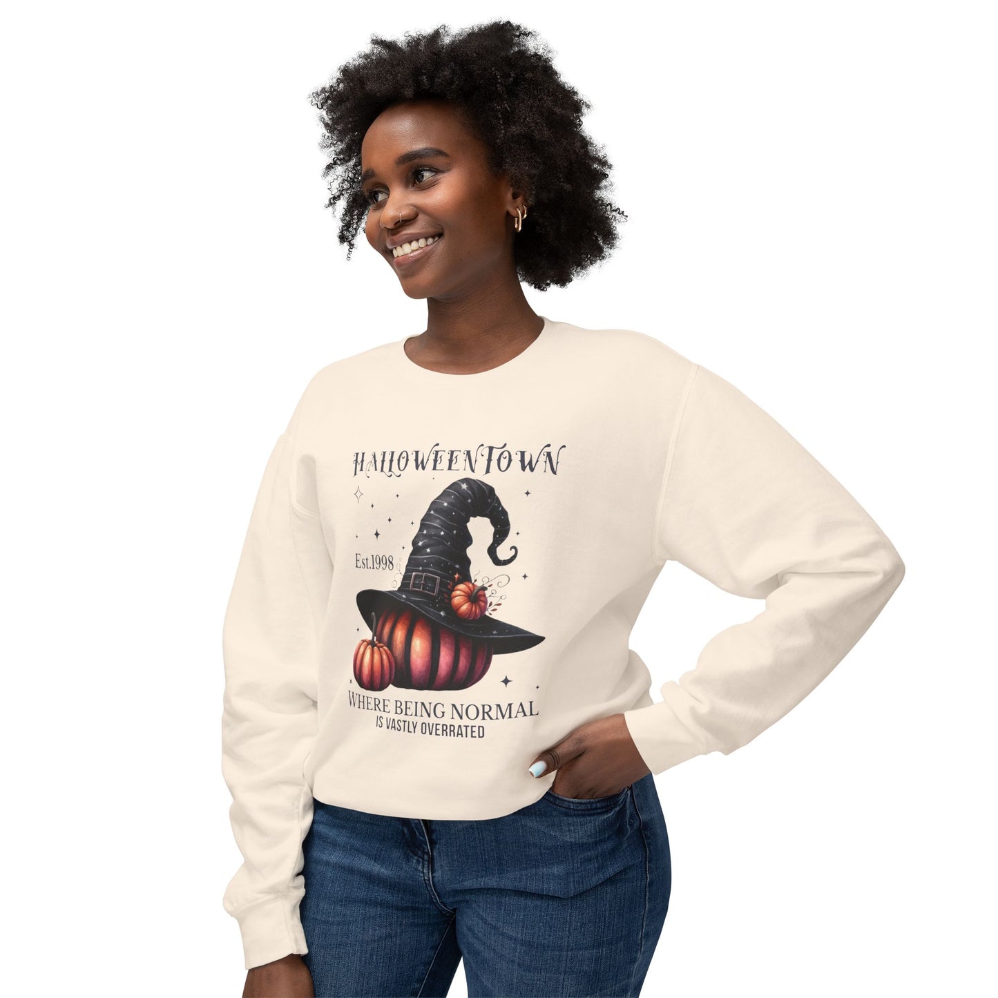 Unisex Lightweight Crewneck Sweatshirt / Casual Pullover / Soft Cotton Blend / Everyday Loungewear