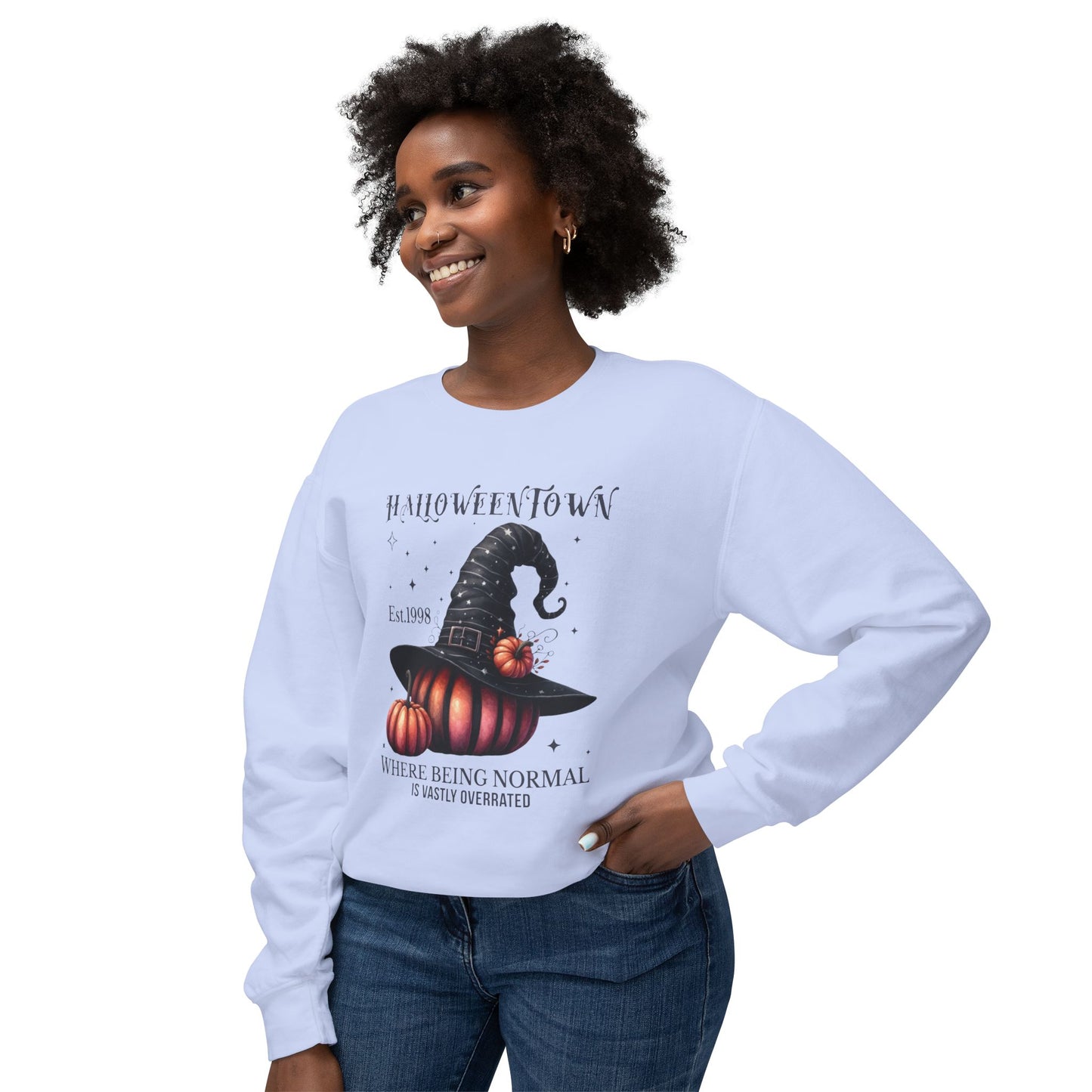 Unisex Lightweight Crewneck Sweatshirt / Casual Pullover / Soft Cotton Blend / Everyday Loungewear
