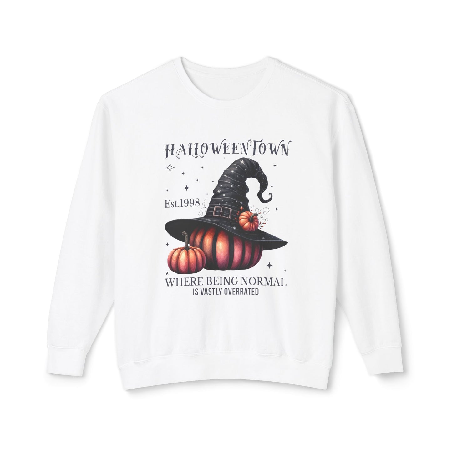 Unisex Lightweight Crewneck Sweatshirt / Casual Pullover / Soft Cotton Blend / Everyday Loungewear