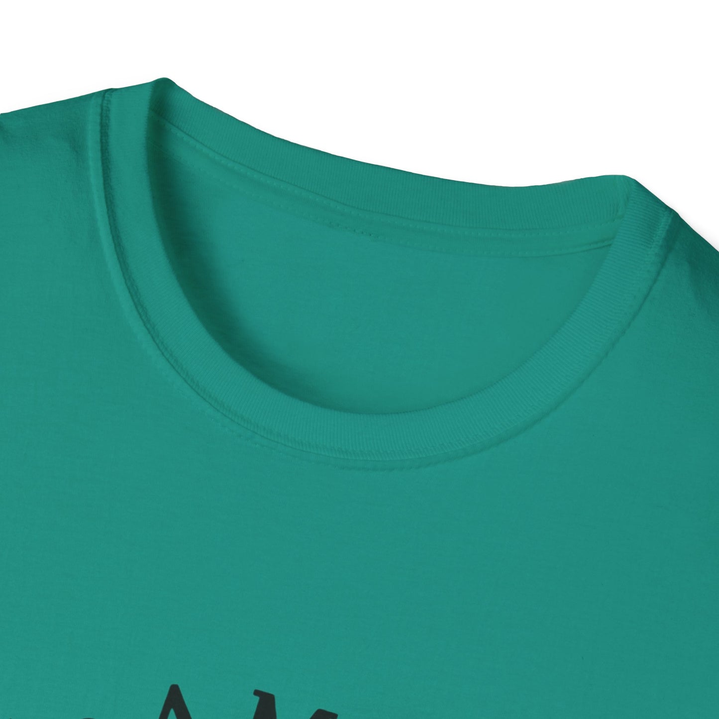 Unisex Softstyle T-Shirt | Take A Moment For Your Mental Health | Motivational & Comfortable Self Care Tee