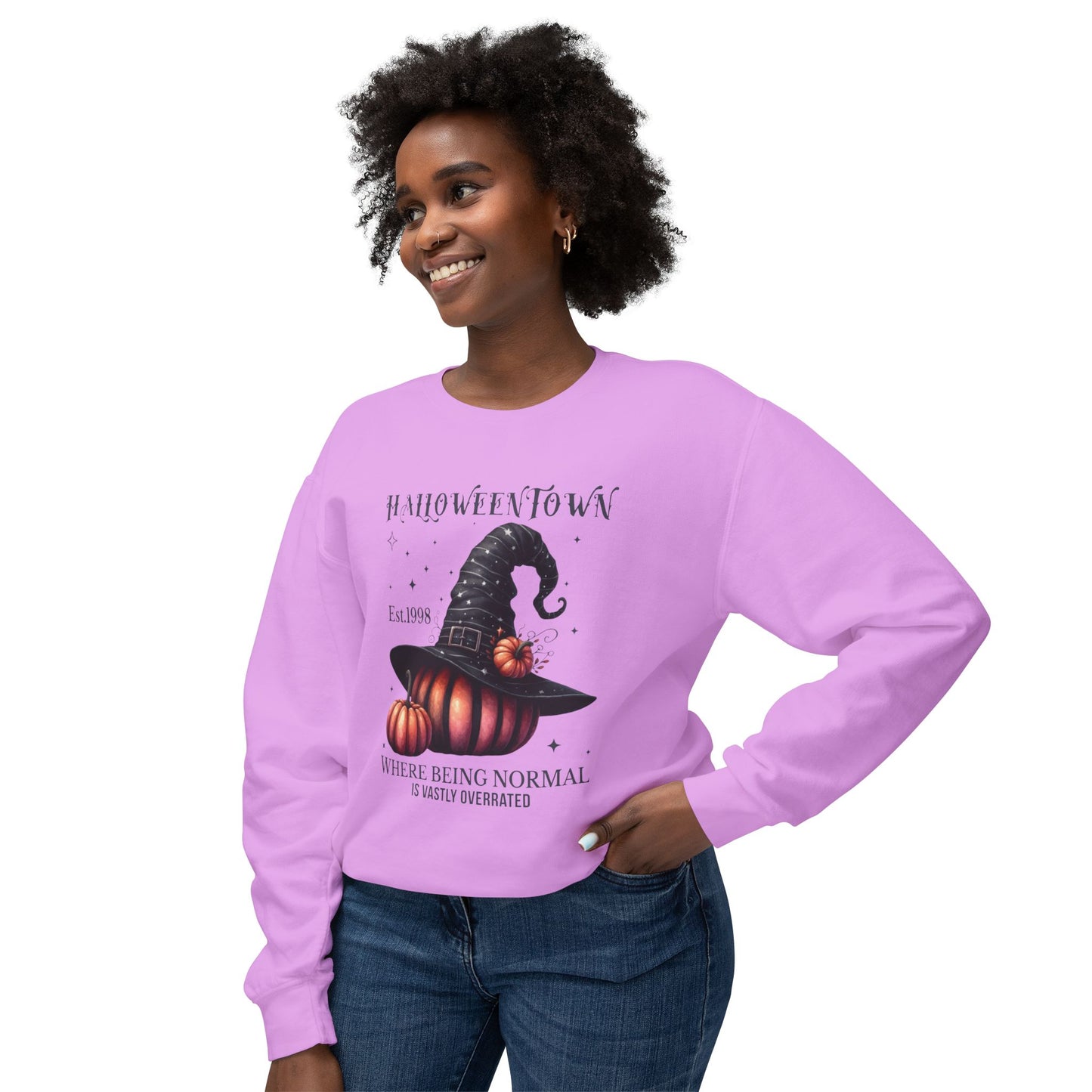 Unisex Lightweight Crewneck Sweatshirt / Casual Pullover / Soft Cotton Blend / Everyday Loungewear